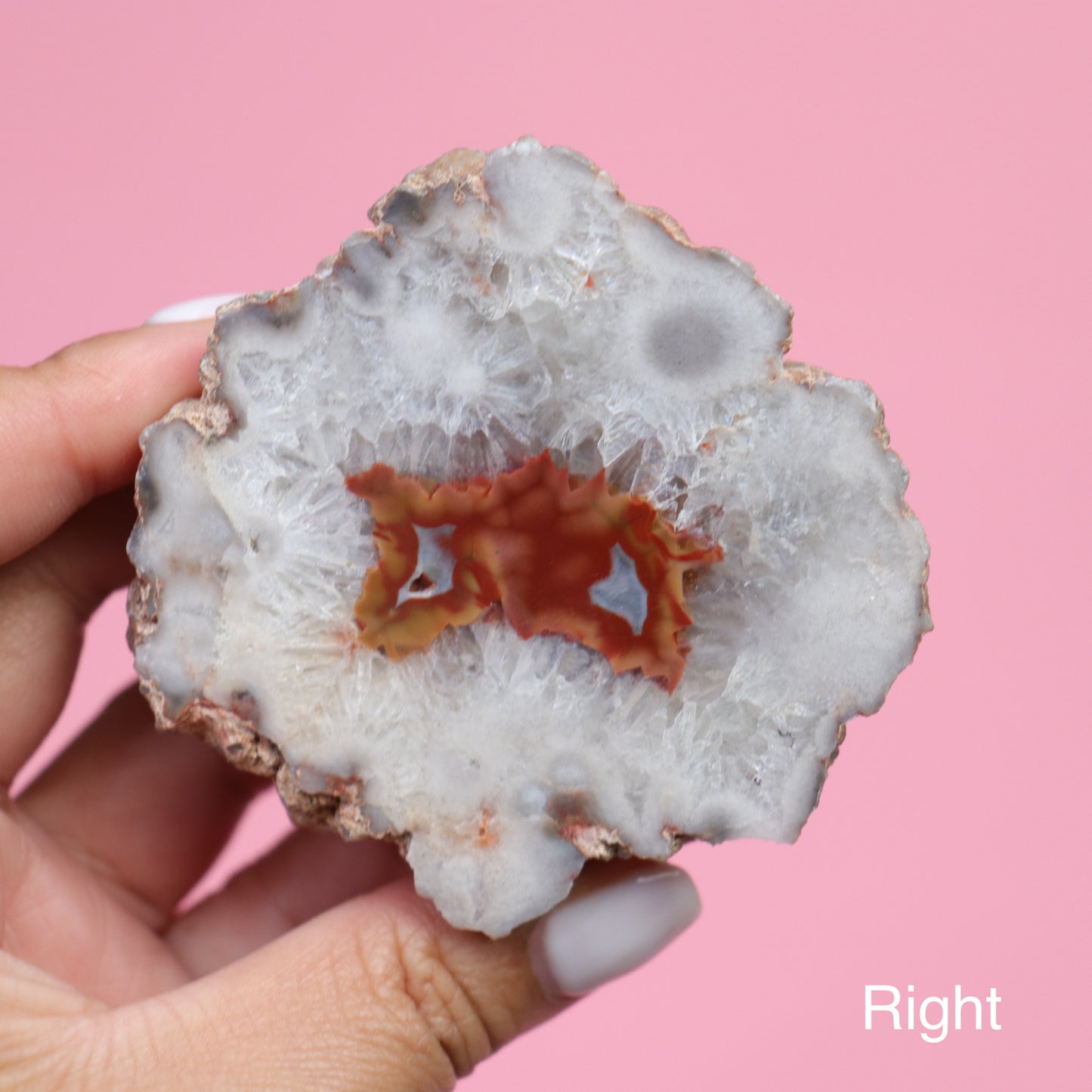 Geode Agate Pair | 3