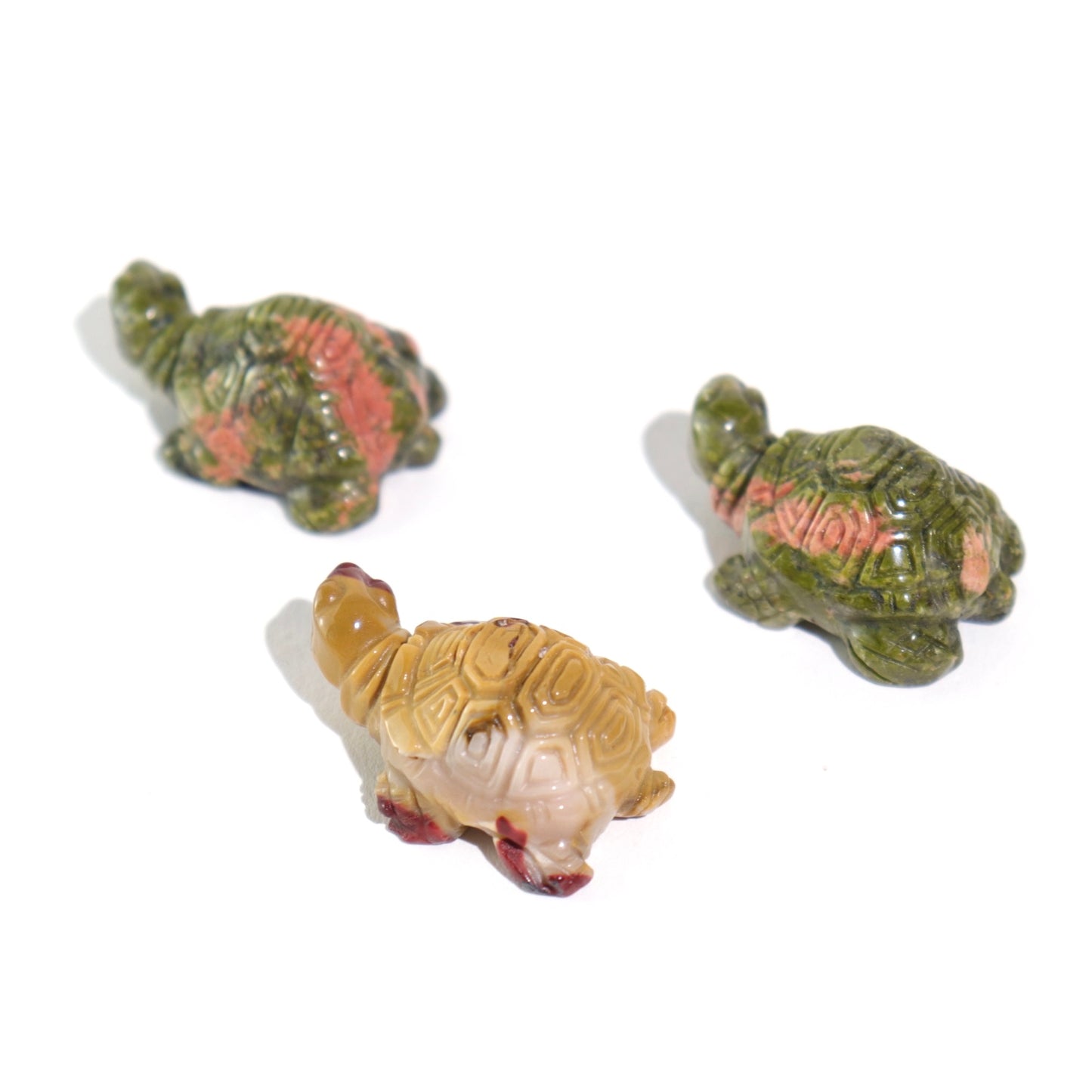 Mini Coin Turtles