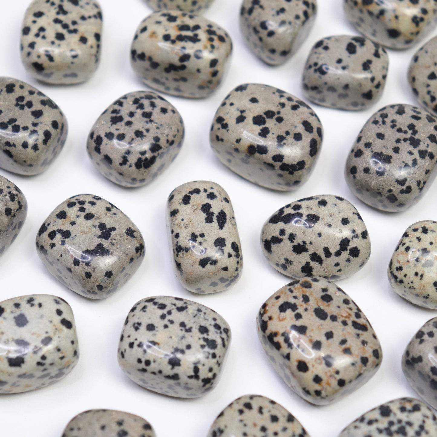 Dalmation Jasper Tumbles- Crescents & Crystals