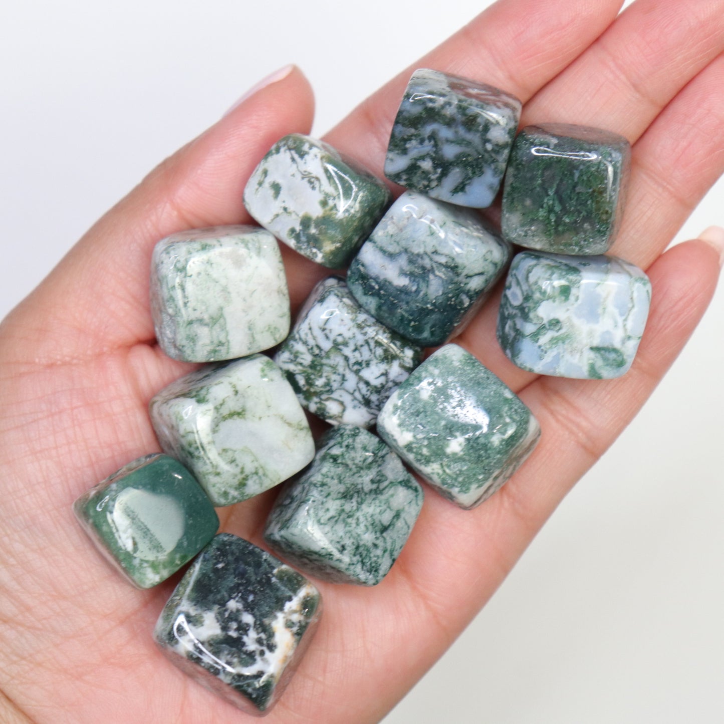 Moss Agate Cubes | Tree Agate