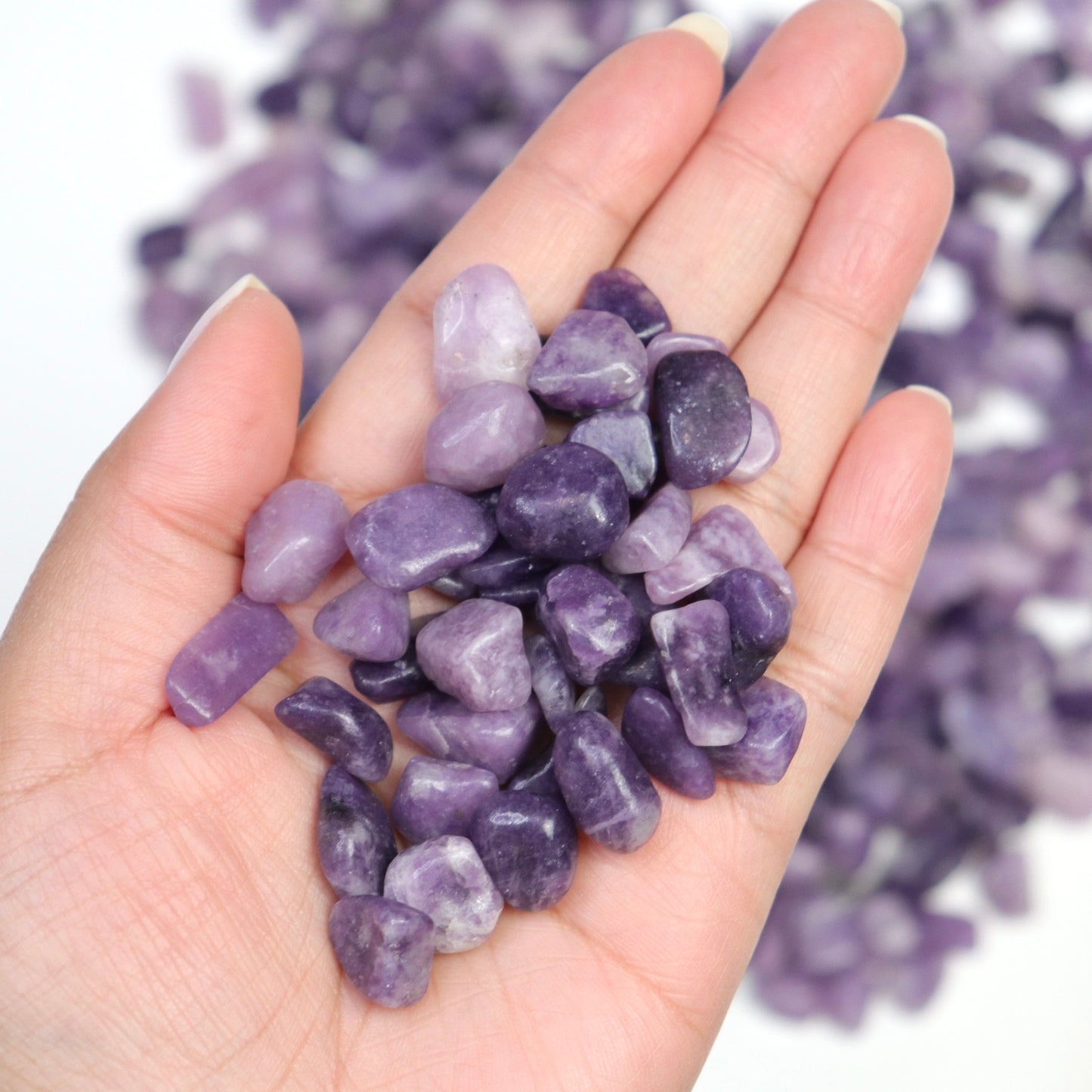 Lepidolite Chips - Crescents & Crystals