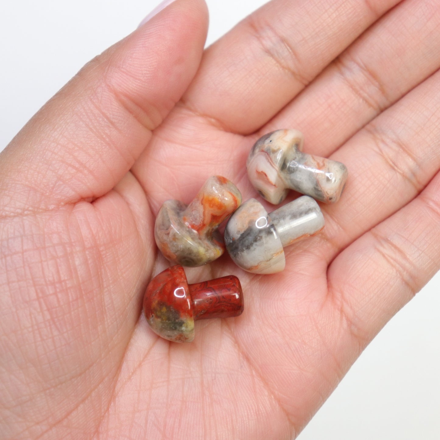 Crazy Lace Agate Mushrooms - Crescents & Crystals