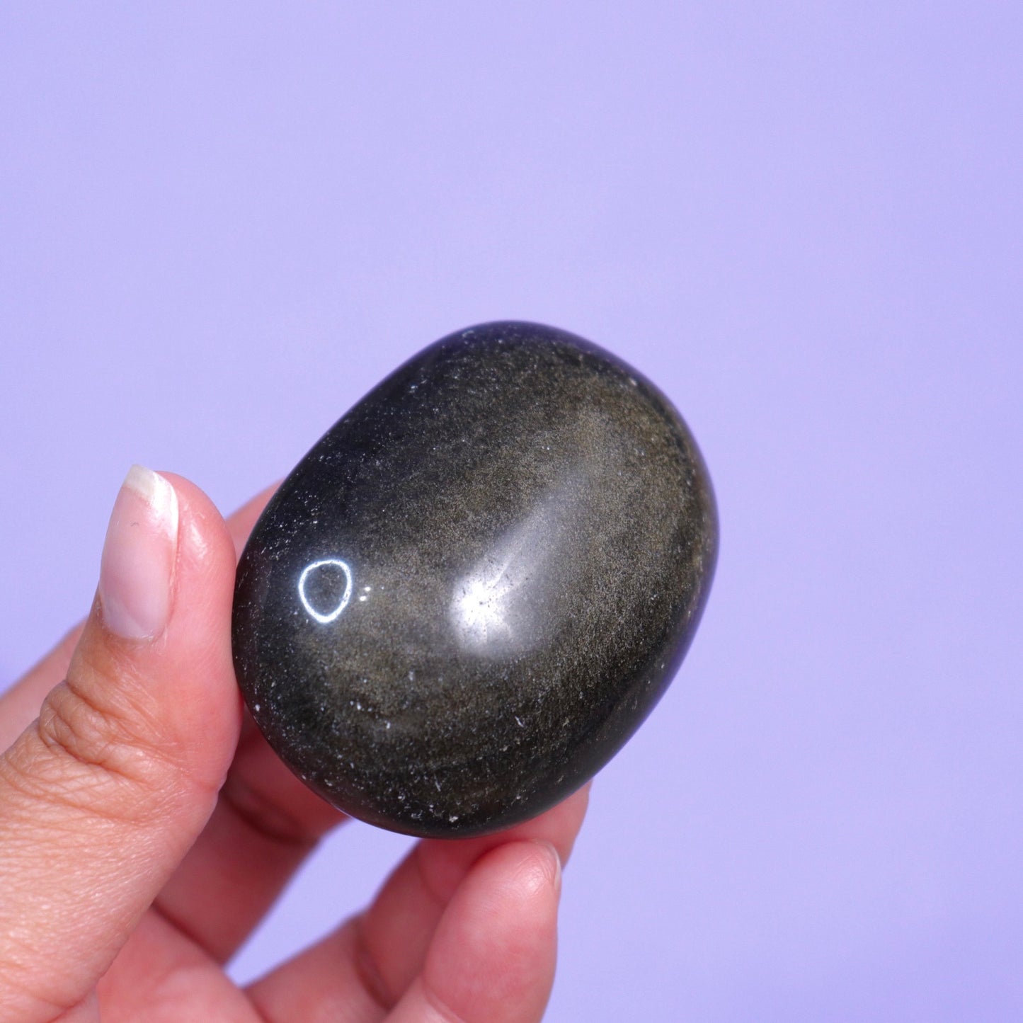 Golden Sheen Obsidian Palm Stone - Crescents & Crystals