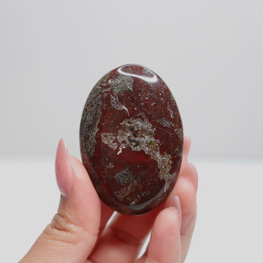 Dragon Bloodstone Palm Stone 44