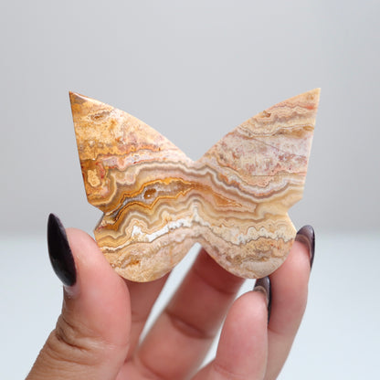 Crazy Lace Agate Butterfly | 4