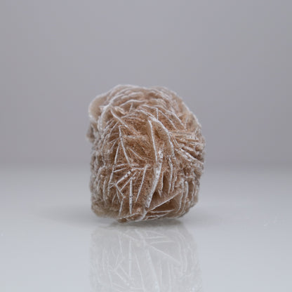 Desert Rose Cluster | 3