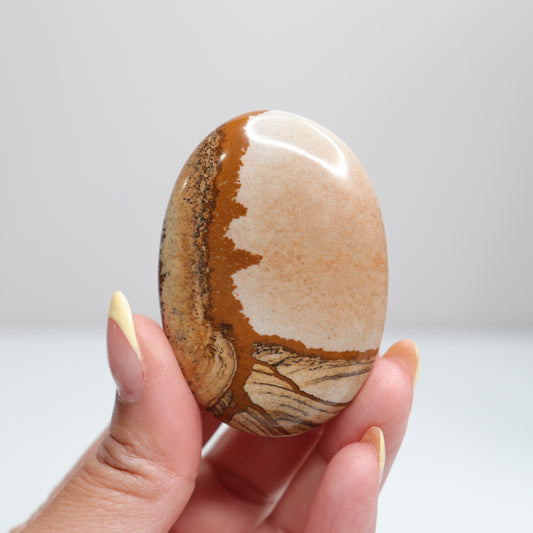 Picture Jasper Palm Stone 11