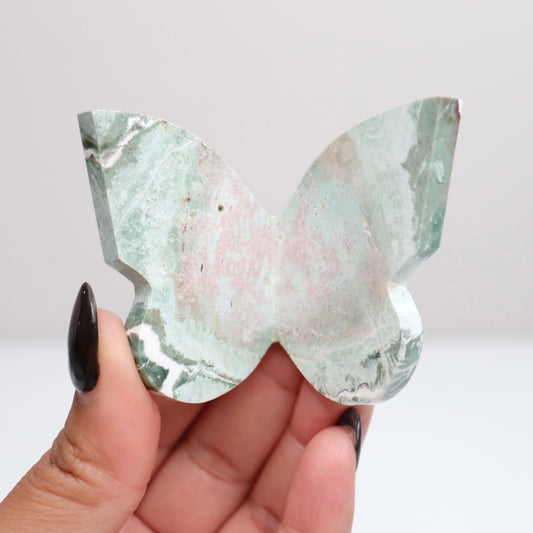 Unicorn Butterfly 1