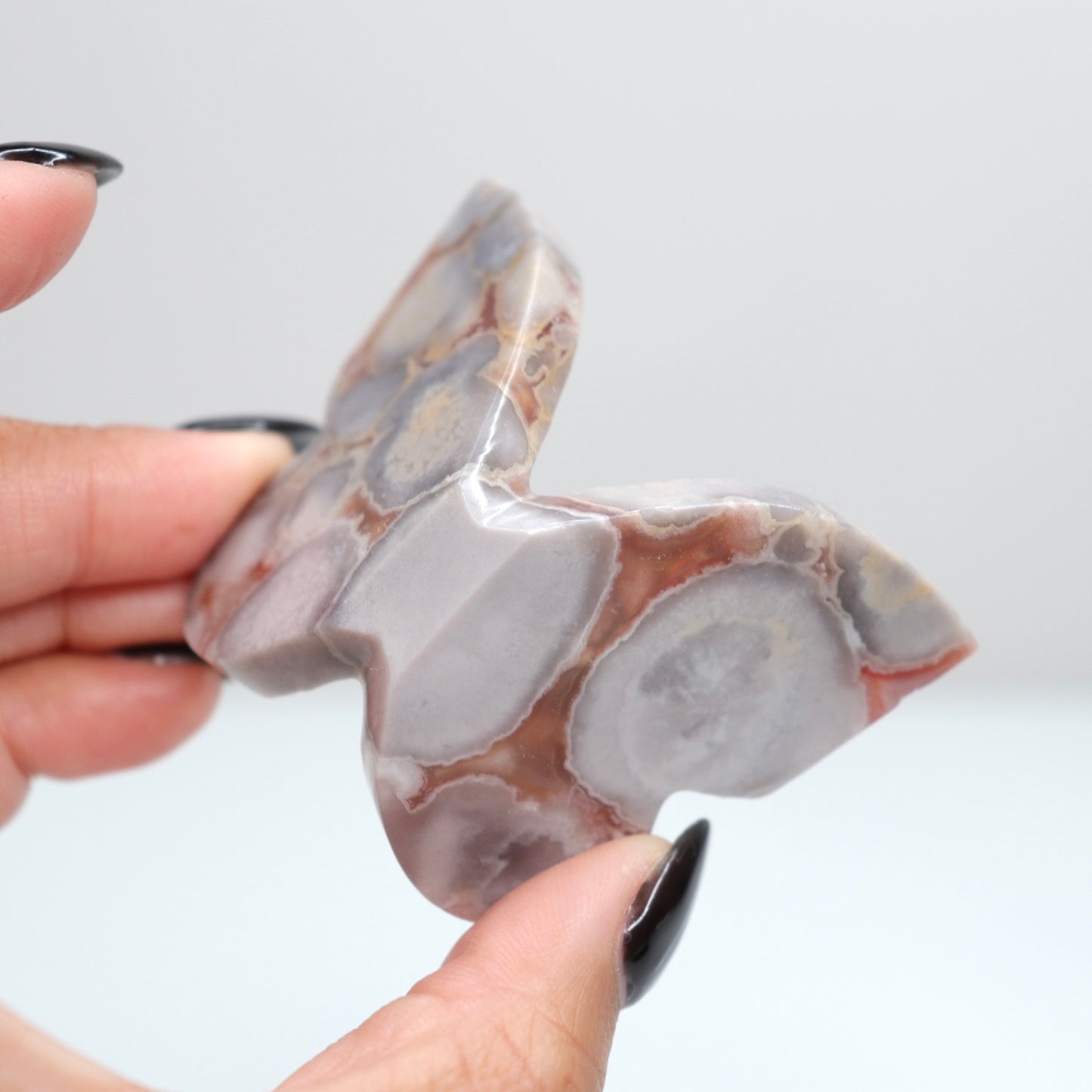 Cobra Jasper Butterfly 10