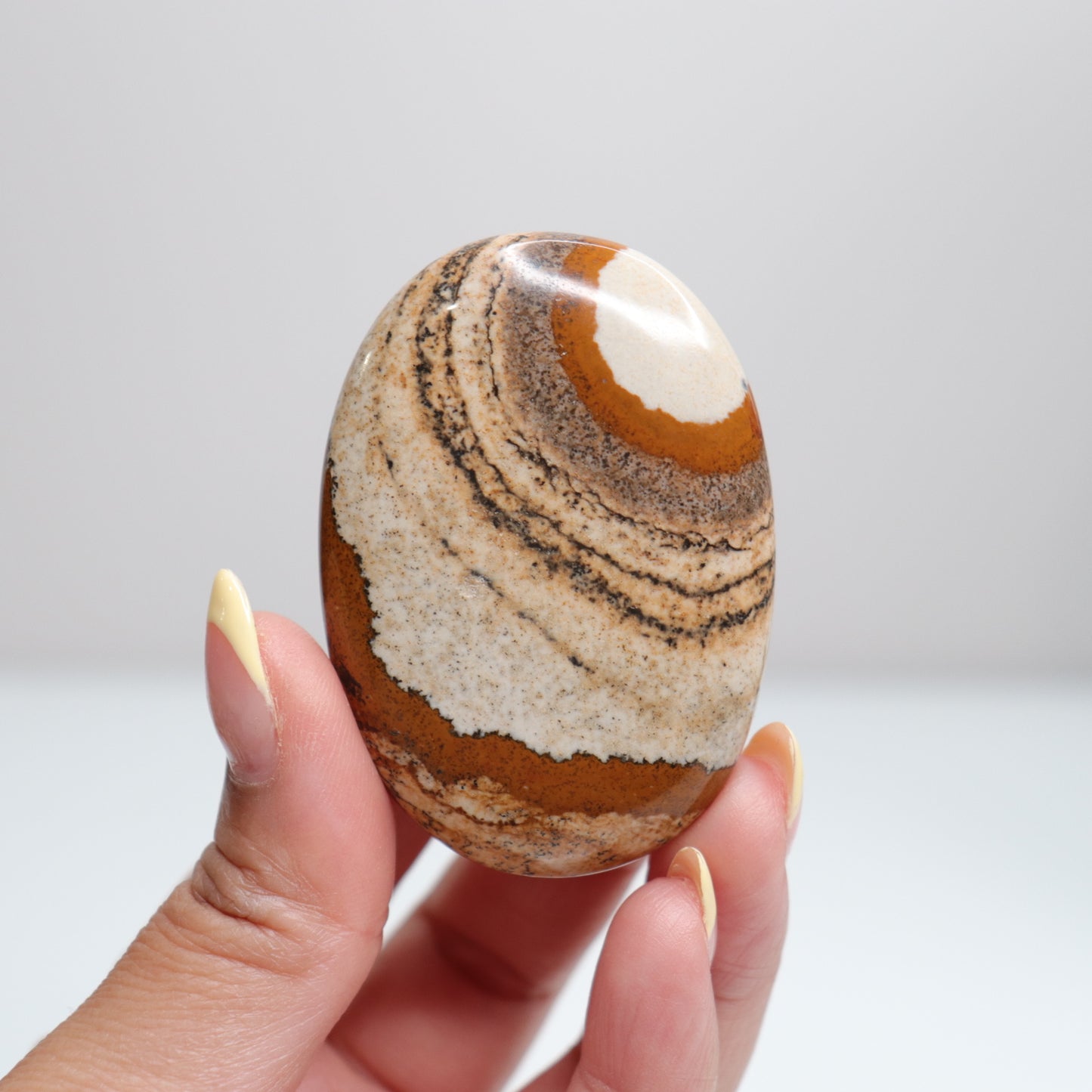 Picture Jasper Palm Stone 13