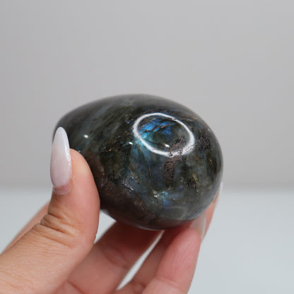 Labradorite Egg | 41