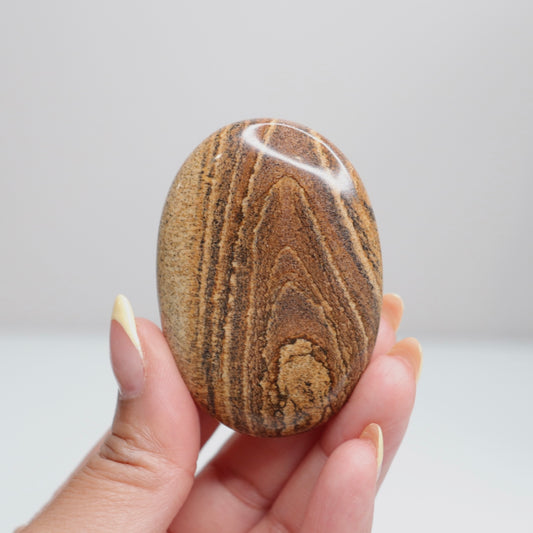 Picture Jasper Palm Stone 6