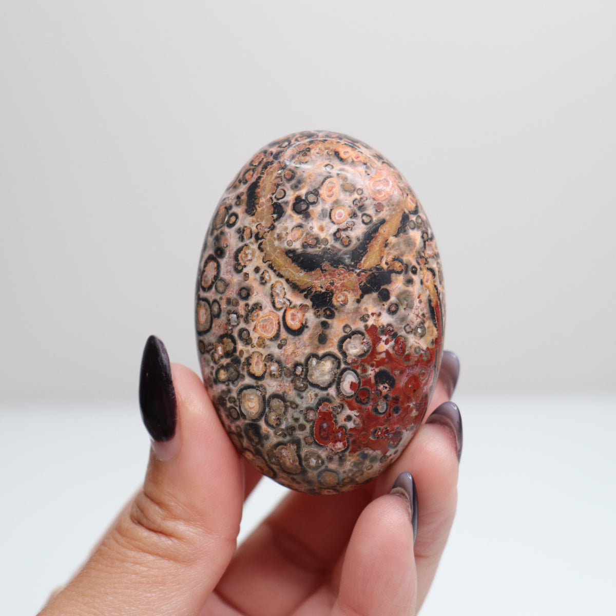 Leopard Skin Jasper Palm Stone | 26