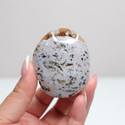 Sea Jasper Palm Stone | 11