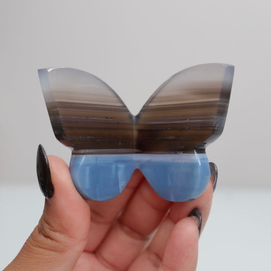 Blue Opal Butterfly 5