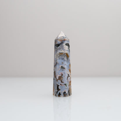 Ocean Jasper Tower | 76