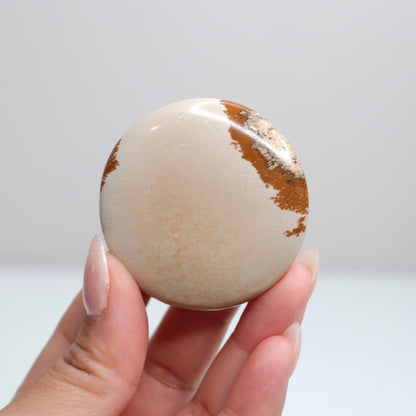 Picture Jasper Flat Stone | 31