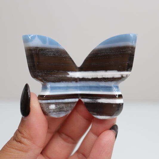 Blue Opal Butterfly 7