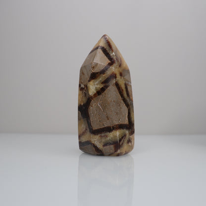 Septarian Tower | 4