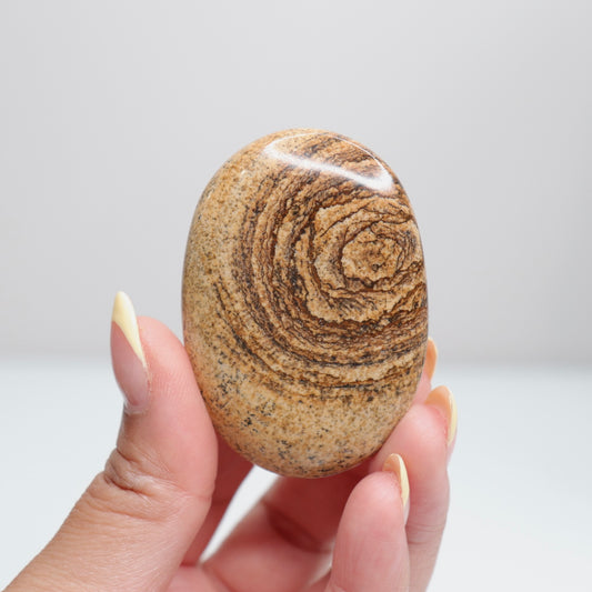 Picture Jasper Palm Stone 4