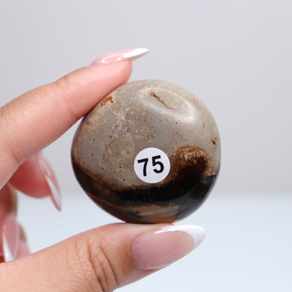 Septarian Palm Stone 75