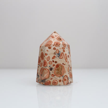 Leopardite Tower | 17