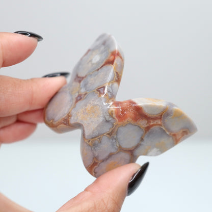 Cobra Jasper Butterfly 7