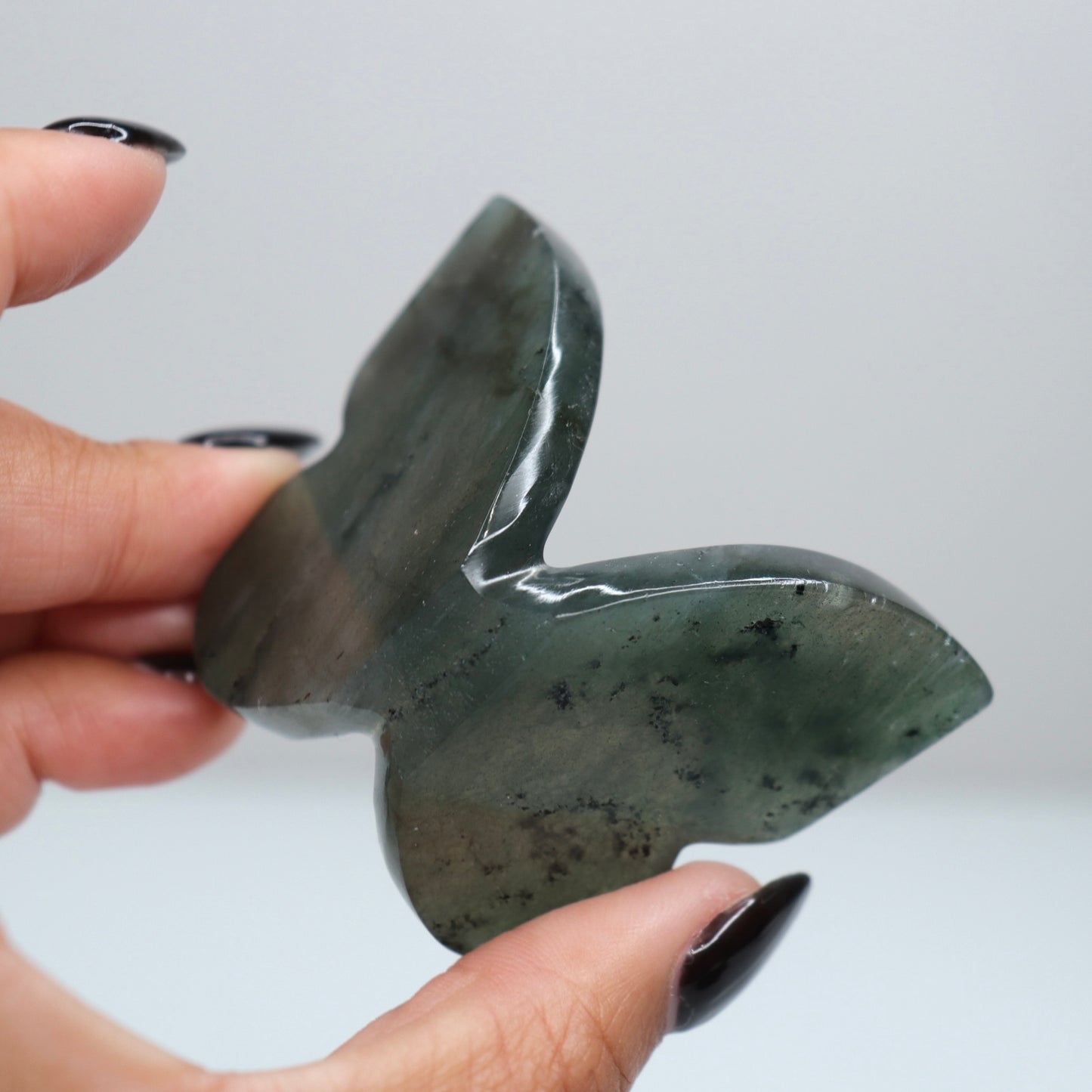 Labradorite Butterfly 10*