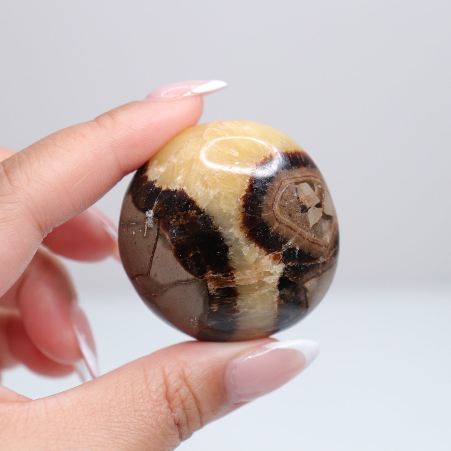 Septarian Palm Stone 83