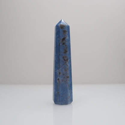 Owyhee Blue Opal Tower | N