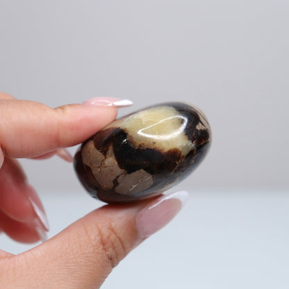 Septarian Palm Stone 81