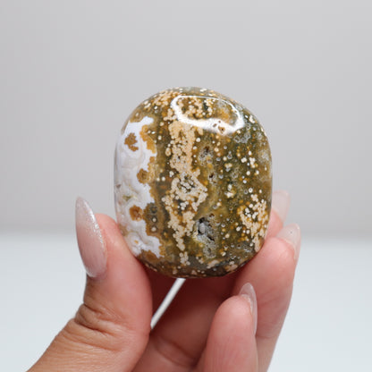 Sea Jasper Palm Stone | O
