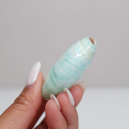 Caribbean Calcite Palm Stone | H