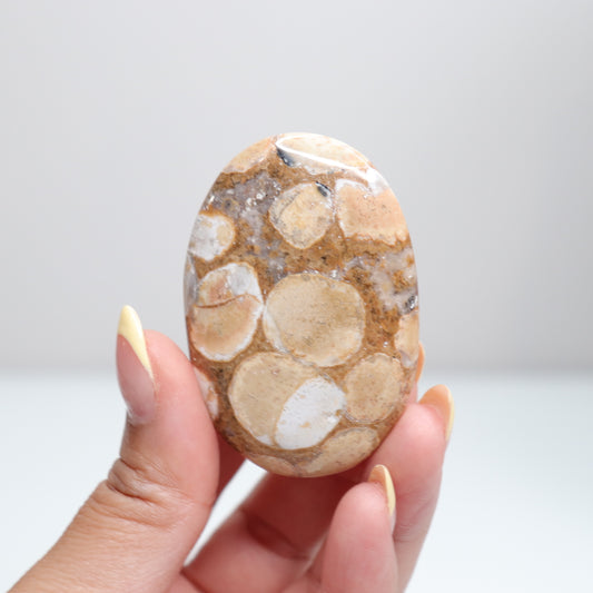 Cobra Jasper Palm Stone 3