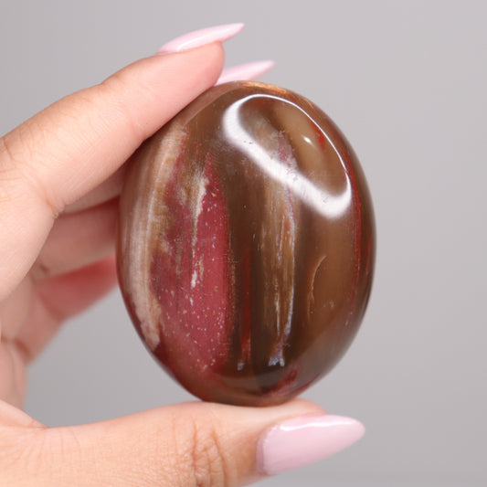 Petrified Wood Palm Stone | 7