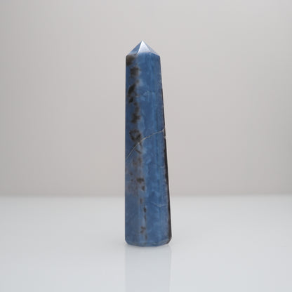 Owyhee Blue Opal Tower | N