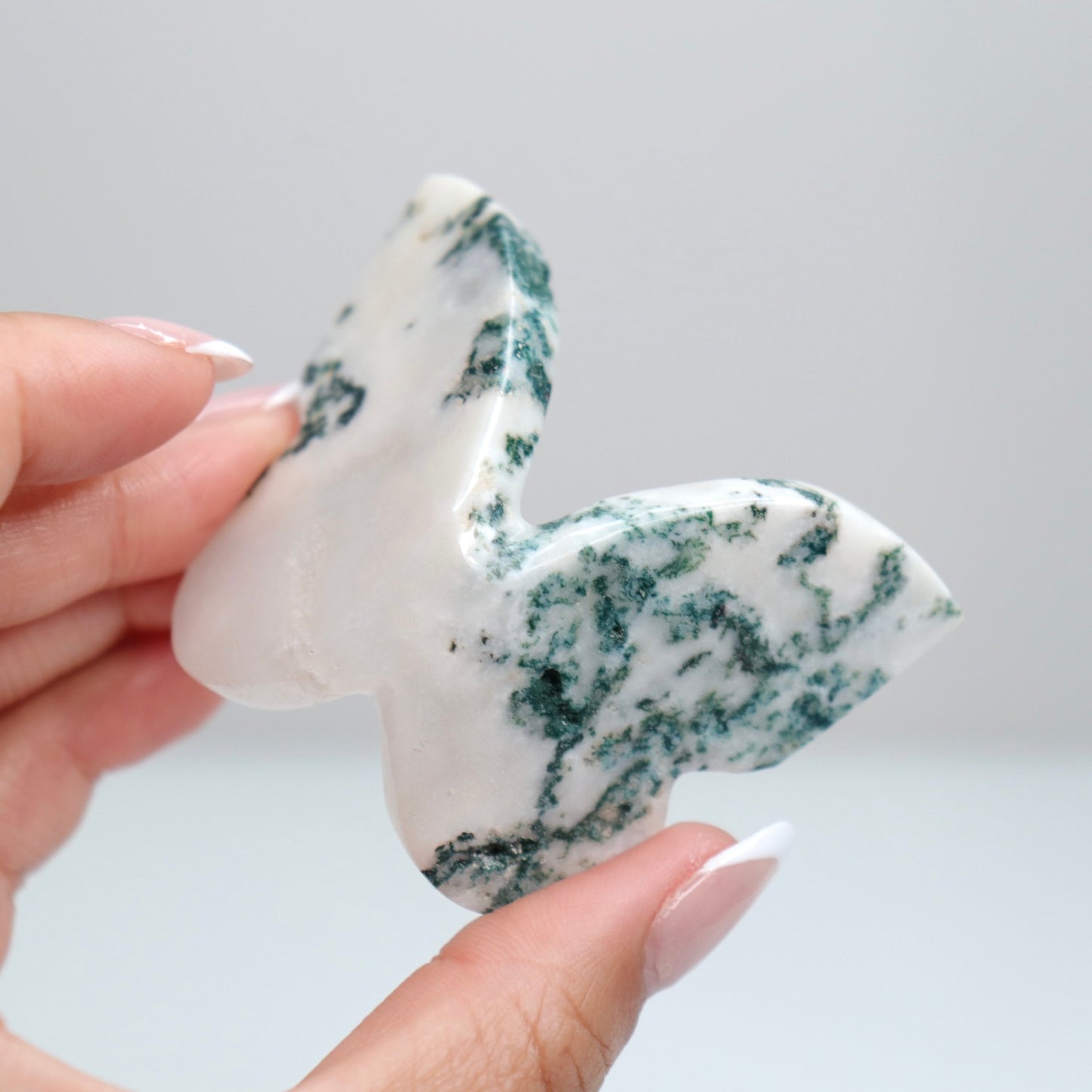 Tree Agate Butterfly G