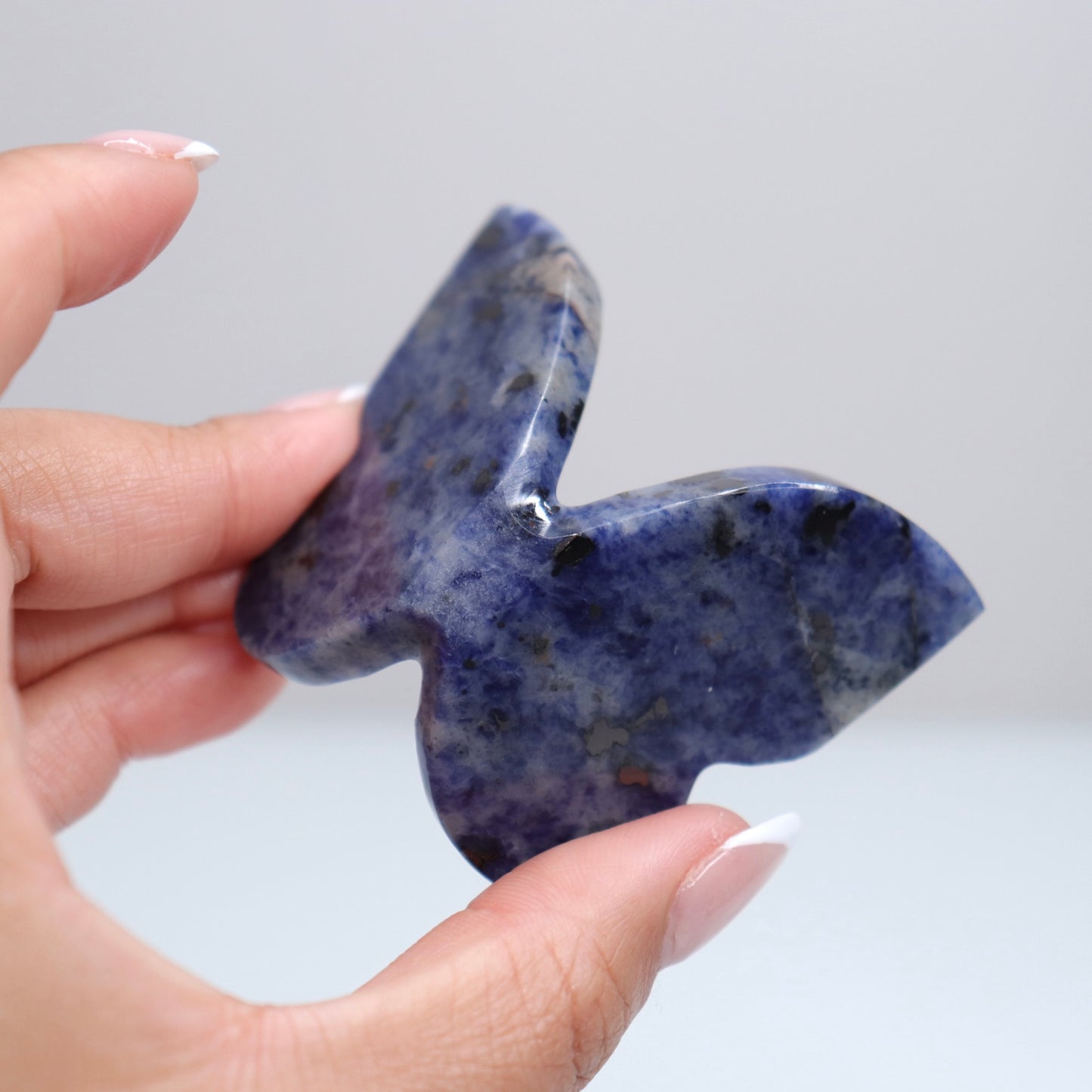 Sodalite Butterly F