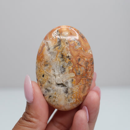 Crazy Lace Agate Palm Stone | A