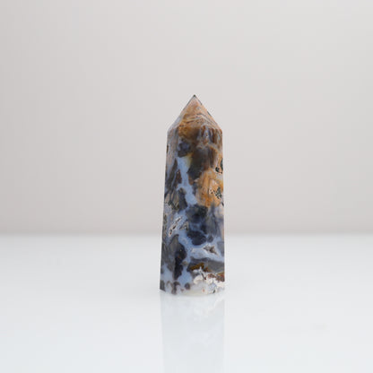 Ocean Jasper Tower | 81