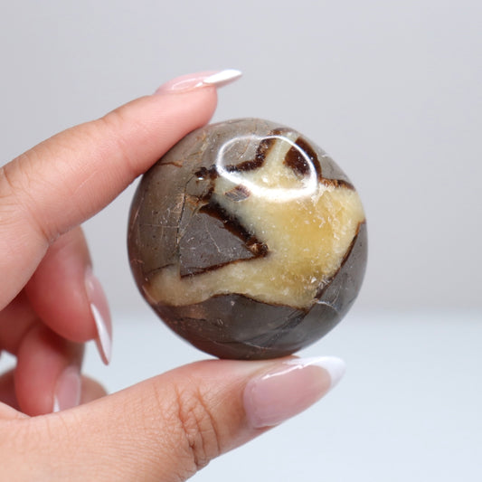 Septarian Palm Stone 82