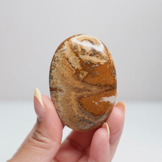 Picture Jasper Palm Stone 9