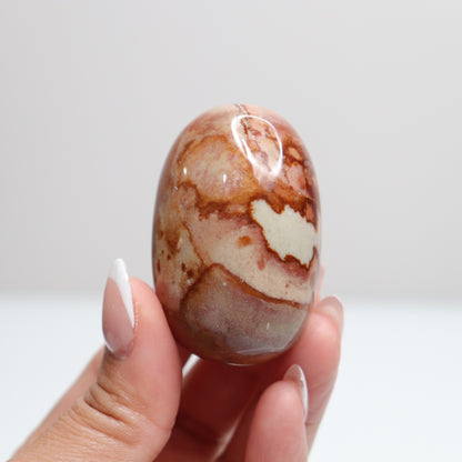 Polychrome Jasper Palm Stone | 7