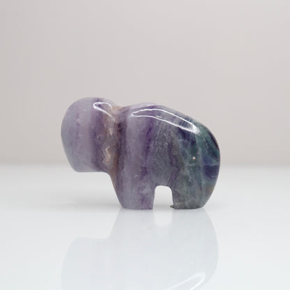 Fluorite Bison 10