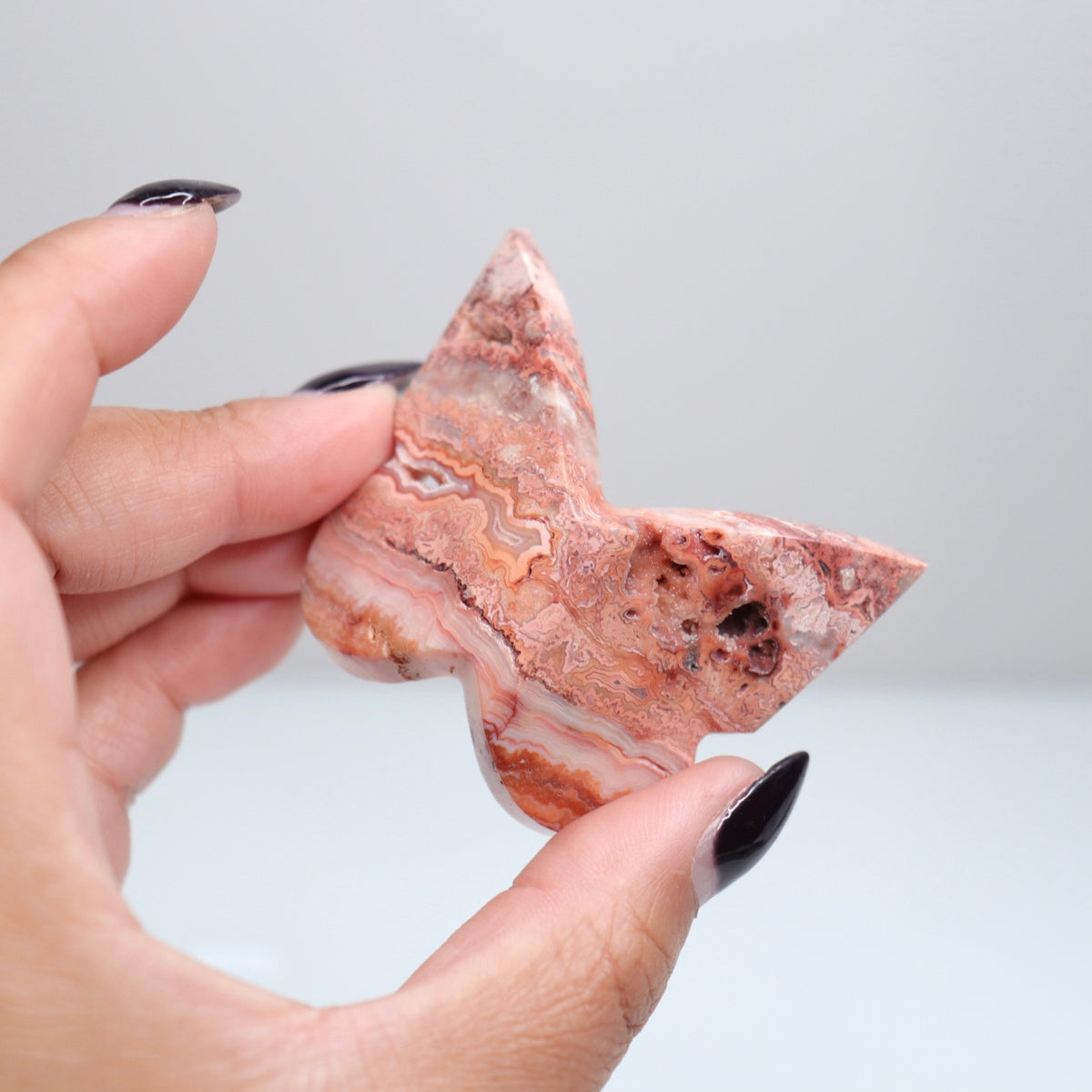 Crazy Lace Agate Butterfly | 21