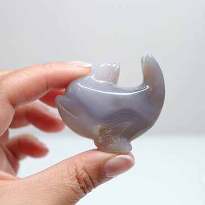 Agate Dolphin | 4