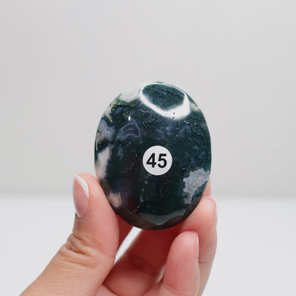 Moss Agate Palm Stone | 45