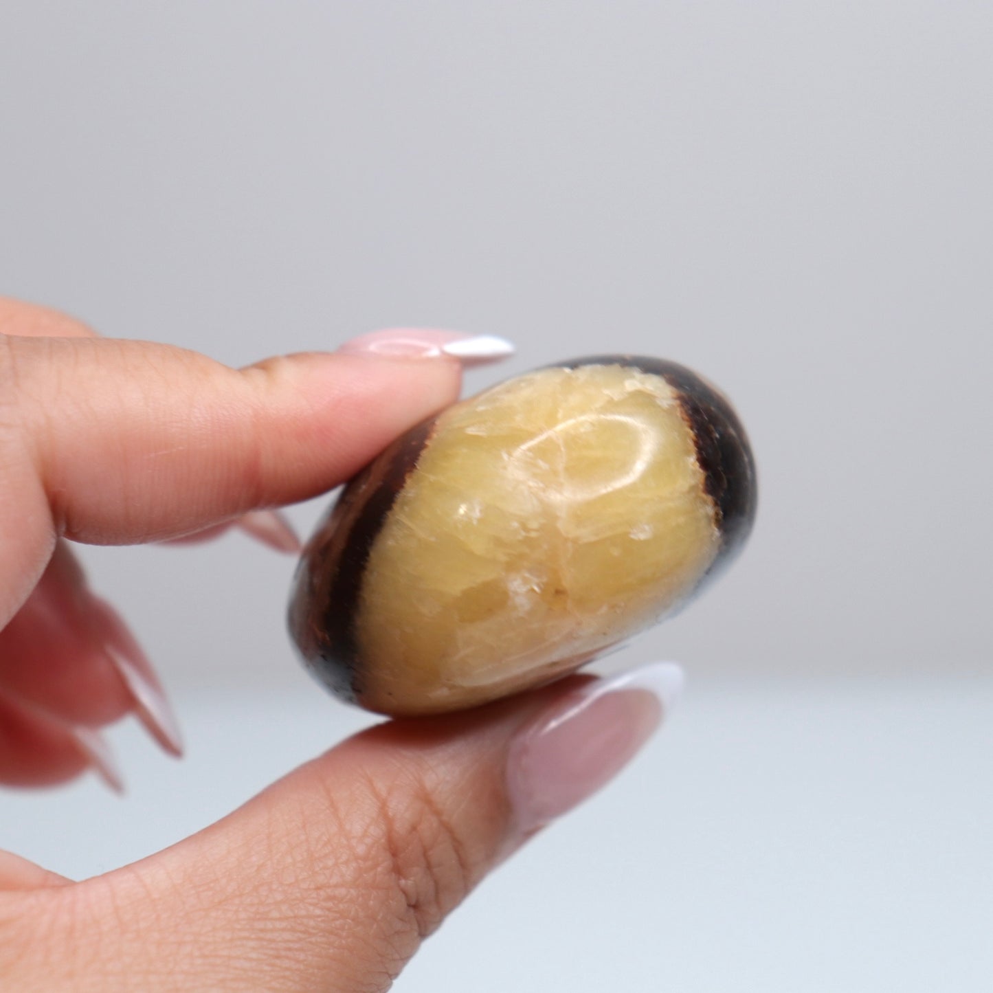 Septarian Palm Stone 83