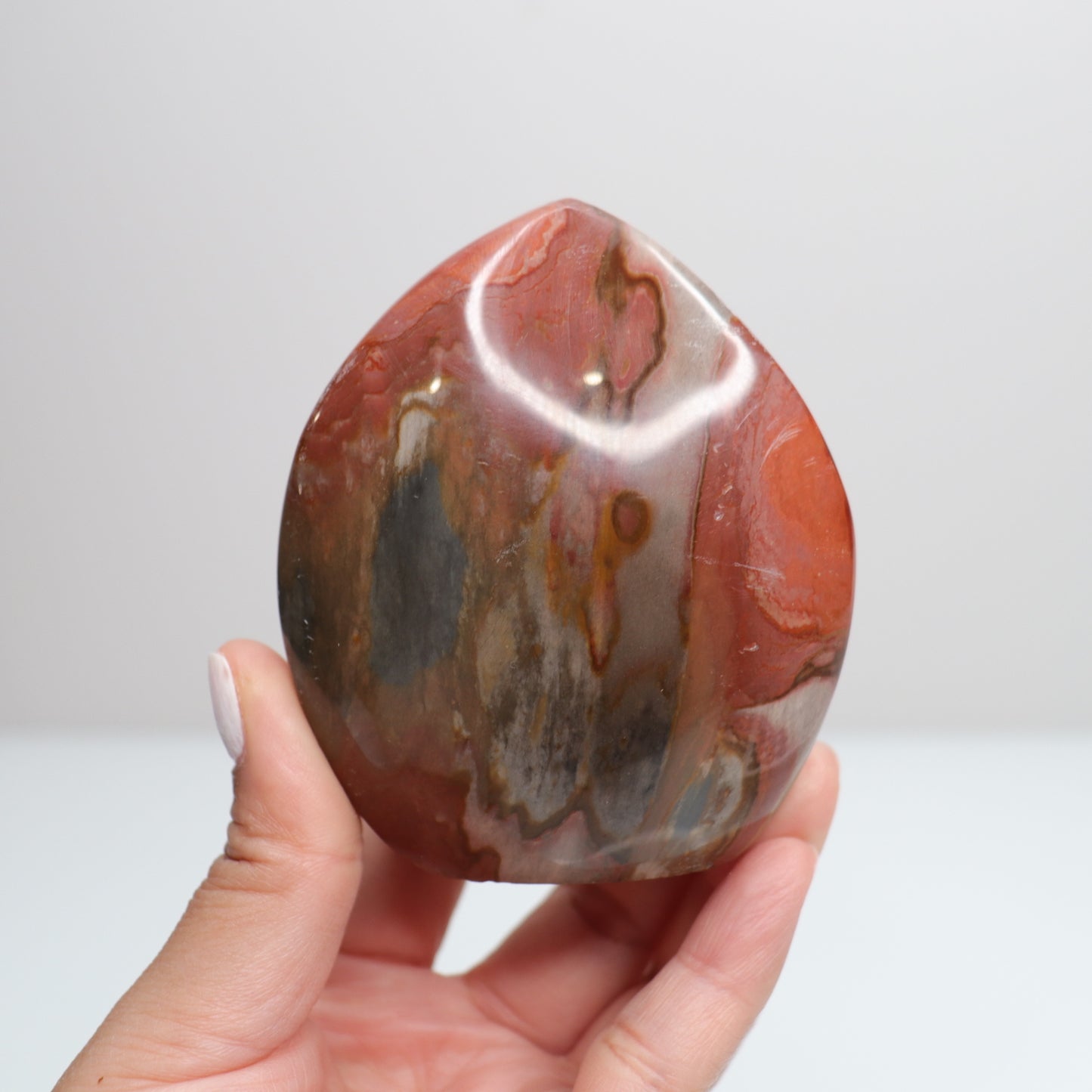 Polychrome Freeform 6