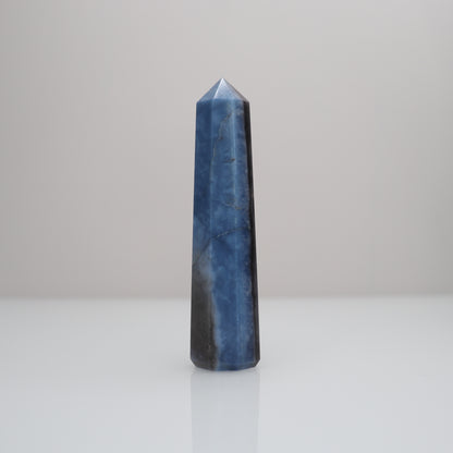 Blue Opal Tower | L
